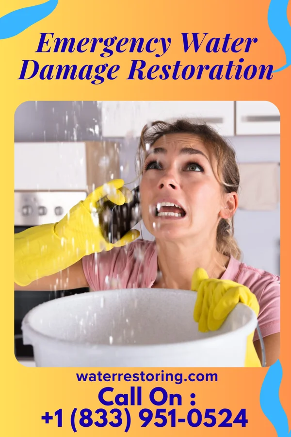 Emergency Water Damage Restoration in Hamilton, VA
