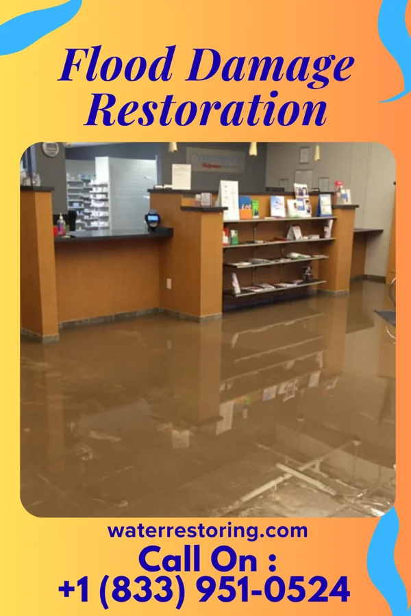Flood Damage Restoration in Hamilton, VA