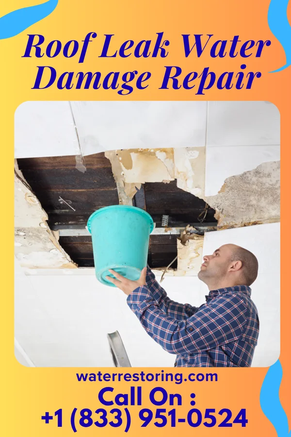 Roof Leak Water Damage Repair in Hamilton, VA