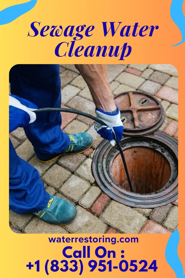 Sewage Water Cleanup in Hamilton, VA